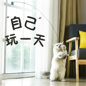 Cat Toy Cat Teaser Self-Hi Relieving Stuffy Artifact New Feather Sucker Steel Wire Long Brush Holder Replacement Head Kitty Supplies