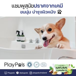โปรซื้อคู่ถูกกว่า แชมพูสุนัขสูตรสะอาดล้ำลึก+สเปรย์บำรุงขน