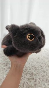 25cm Black Cat Siamese Kitten Plush Toys Cartoon Lifelike Kitten Dolls Animal Artificial Touch Doll Kids Girls Birthday Gifts