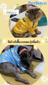 PetStern 🍍 S-2XL เสื้อสุนัข เสื้อแมว เสื้อผ้าสัตว์เลี้ยง สำหรับชิวาวา ยอร์คเชียร์เทอร์เรีย ชิสูง พร้อมลายน่ารักๆ