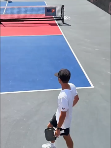 Set Pickleball Set Pickleball Paddle Raket Pickleball With Balls