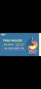 CHÍNH HÃNG - GỐI CHỐNG TRÀO NGƯỢC DẠ DÀY NGƯỜI LỚN YOROKOBI (Bo tròn chống trượt)