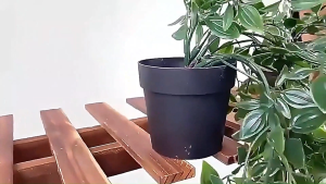 🍃Ready Stock🍃Simulation Mandala Indoor and Outdoor Decorative Landscape Plants