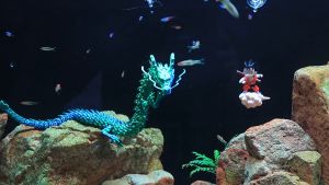 Mô hình rồng 3D có khớp nối uốn dẻo linh hoạt trang trí bể cá thủy sinh decor nhiều màu sinh động