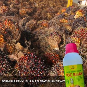 Obat Pelebat Buah Sawit / Pupuk Pelebat Buah Sawit / Pupuk Cair Pelebat Buah Sawit / Booster Sawit