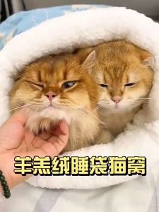 ถุงนอนแมว ให้ความอบอุ่น ถุงนอนแมวกึ่งปิดนุ่ม ขนแกะเนื้อแกะหนาน่ารักสบาย ฤดูหนาว บ้านแมว