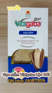 [VOVE] Gạo Mầm Vibigaba hộp 1kg ổn định đường huyết huyết áp dễ tiêu hóa dễ ngủ giá Gốc_vovedacsan