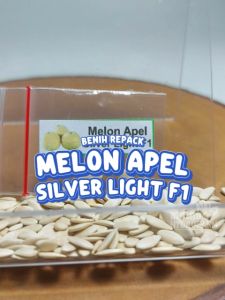 Benih Melon Apel Silver Light F1 Unggulan Berkualitas biji bibit repack buah putih mini segar manis hydroponik hidroponik tanaman berbiji pot