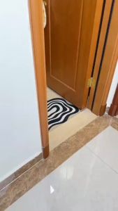 Super Absorbent Bathroom Mat Non-Slip Diatom Mud Toilet Pad Quick-Drying Floor Mat Home Bath Mat Shower Rug