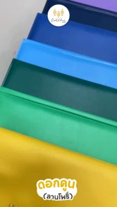 ปกประกาศนียบัตร (ขนาด A5) ใบประกาศนียบัตร สำเร็จรูป ไม่รับสกรีน แฟ้มใบประกาศนียบัตร แฟ้มใบประกาศ พร้อมส่งจากไทย