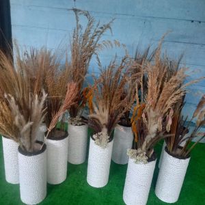 ( 3Paket)Obral Murah Paket Bunga kering + Pot