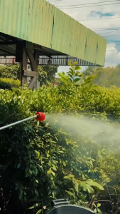 ก้านพ่นยาหมวกแดง 3 ฟุต หัวฝักบัว ด้ามพ่นยา(90เซนติเมตร)ก้านพ่นยาหัวฝักบัวสีแดง ปรับงอได้ ก้านพ่นยาหัวทองเหลือง ก้านสแตนเลส