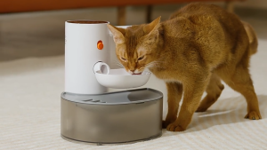 Smart Self-Refill Pet Water Fountain | No Filter | 3L Large Capacity | Wireless 2000mAh | Clean & Dirty Water Separation