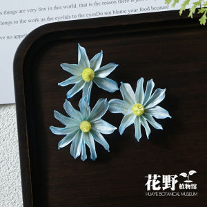 Blue Everlasting Flower Plant Christmas Dry Flower DIY Materials Thousand Layer Gold Real Flower Handmade Souvenir Ring Decoration