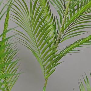 LIANYOU | High Simulation Decorative Palm Plant for Living Room