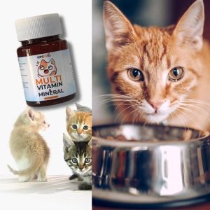 KPSPro Multivitamin Kucing Booster Gemuk Vitamin Bulu Supplement Kitten Makanan Cat 60mL