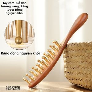 YIJIANGDAO | Bàn Chải Massage Da Đầu Răng Rộng Dạng Giọt Phù Hợp cho Tóc Dài và Xoăn