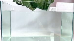 KM 50% QUẦN LÓT NAM BOXER THUN LẠNH XK NHẬT CAO CẤP COMBO 1 QUẦN SIÊU HÓT LỊCH LÃM SANG TRỌNG