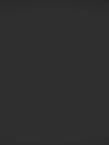 Anti Leak spray / pengisi celah bocor dan anti air FA