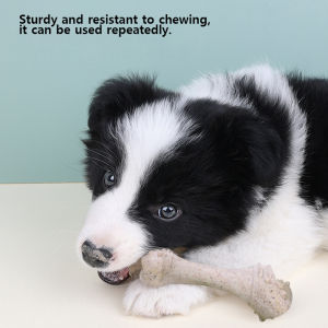 12cm Pet Toys Dog Tooth Cleaning Bone Chews For Grinding Teeth Chewable Dog Toys For Teeth-firming With Beef Flavor For Training