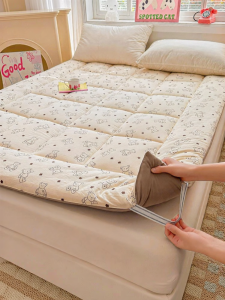 HAOMIAN | Thickened Warm Soft Mattress
