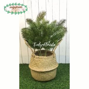 Tanaman Hias Daun Pinus Cemara Tangkai X4 Latex Artificial Cover Pot Anyaman Purun Belly Handle Pohon Pajangan Dekorasi