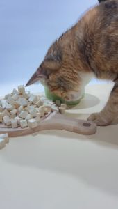 Freeze Dried Chicken Cube Pet Food Readystock  booster untuk kucing booster gemuk kucing murah