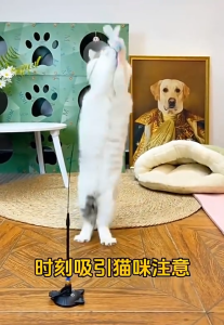 Đồ chơi cần câu Mèo cốc hút hình bông hoa gắn lông vũ màu macaron "mẫu mới" - Love pets shop