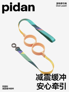 เชือกจูงสุนัข Pidan Shock Absorption เหมาะสำหรับเล็กและกลางๆ เชือกจูงสุนัขแบบยืดหยุ่น สไตล์สากล ความยาวปกติ