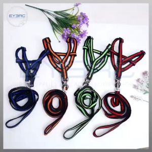 Heavy Duty Harness with Stretchable Leash: The Ultimate Versatile Training Equipment
