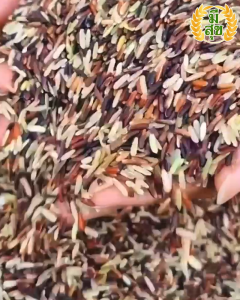 ข้าวสี่กษัตริย์ ข้าวมีสุข หอมนุ่มไม่แข็ง เบาหวานความดันทานดี (ถุง 5 กิโล)