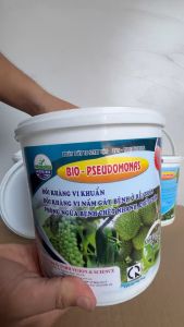 2Kg BIO PSEUDOMONAS Đối Kháng Nấm Bệnh Trừ Héo Xanh Vàng Lá Thối cổ Rễ - Bột Tan