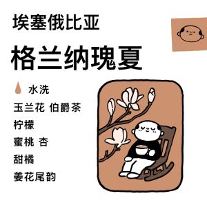 TangShui Water Washed Hand-Poured Guanaros Coffee Beans for Drip Filter Brewer Espresso Machine Cold Brew Maker And More