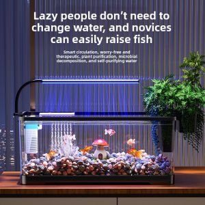 KUOTING | Lazy Persons Desktop Aquarium with Oxygen Circulation and Filtration 1 Piece