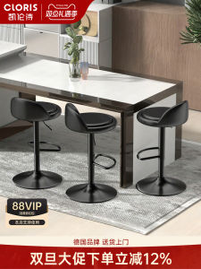 Modern Simple Rotating Height Adjustable Bar Stool with Backrest Home Kitchen Chair Karen Po Bar Counter Chair Iron Art