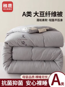 Thickened Soybean Fiber Quilt Core All Seasons Double Size Spring Autumn Single Person Winter Warm Cotton Quilt Bedding