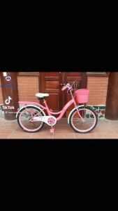 Xe đạp mini VICKY 1 dóng cỡ bánh 22