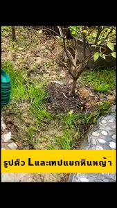 ขอบกันดิน❗ 5/10/15เมตร (พร้อมตะปู) วัสดุPE ตัดได้แบบอิสระ อย่างดี มีคุณภาพ ที่กั้นดิน ที่แบ่งดิน ใช้งานยาวนาน จัดสวน ขอบกั้นดินสวน Garden Edging ที่กันดินไหล ขอบกันดินจัดสวน กันหิน กันหญ้า Border Curb อย่างดี มีคุณภาพ