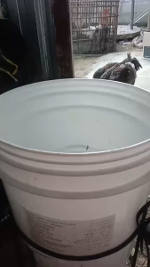 Mesin Coper Pencacah Sayur Dan Rumput Untuk Pakan Ternak Plus Alat Rakit