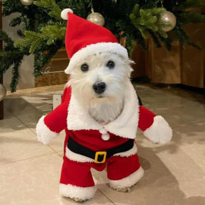 Christmas Costume for Dogs Cute Funny Outfit Teddy Bichon Pomeranian Small Dogs Cats New Years Clothing Pet Clothes Accessories