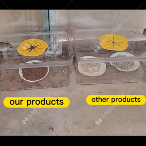 rat poison killer lason sa daga rat repellant rat killer for home rat poison for big rats mouse repellent pellets