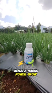 power grow 500ml untuk semua jenis tanaman