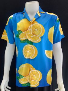 เสื้อฮาวาย เลม่อนฟ้า