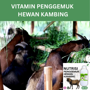 Vitamin Penggemuk Kambing Alami 500ml Nafsu Makan Naik Bobot Cepat Bertambah Maksimalkan Penggemukan