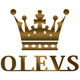OLEVS brand Wrist watch exclusive shop