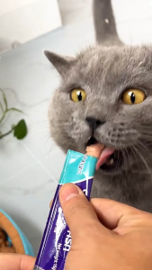 【SG ready stock】LSHSTAR Multi Flavor Creamy Cat Treat Sticks Nutritious Wet Cat Food Snacks for Kittens & Adult Cats