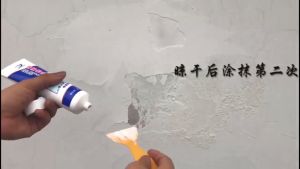 250g Household Wall Repairing Cream Wall Crack Repairing Agent White Latex Paint Putty Powder Wall Cream