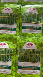 Hạt Giống Mướp Hương Lai F1 Diamond 577 HAI MŨI TÊN ĐỎ (Gói 10gr) - Date mới