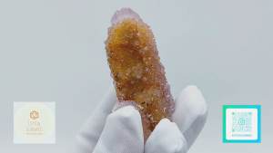 SG LOCAL - Authentic Spirit Quartz 南非精靈水晶