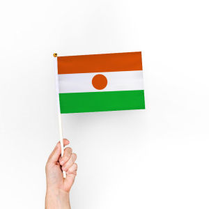 Niger Hand Signal Flag Small Flag Cheer Flag Sports Games Cheer Flag Flags of All Countries in the World